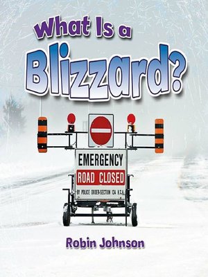 cover image of What Is a Blizzard?